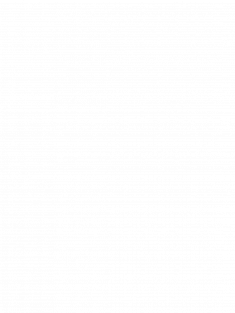 Meyer Dirk